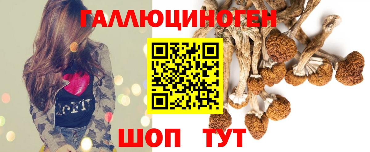 Псилоцибиновые грибы Magic Shrooms  Вход с VPN  Фрязино 